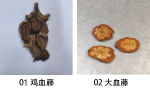 02大血藤.png