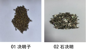 02石决明.png