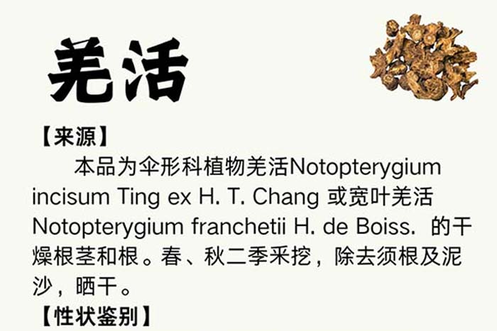 每周一药 | 解表药 | 羌活