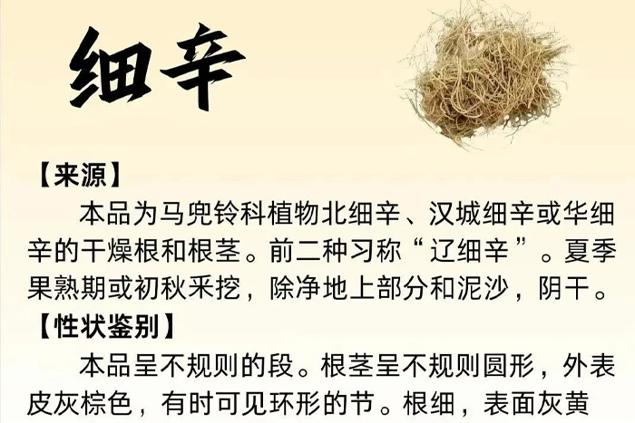 每周一药 | 解表药 | 细辛