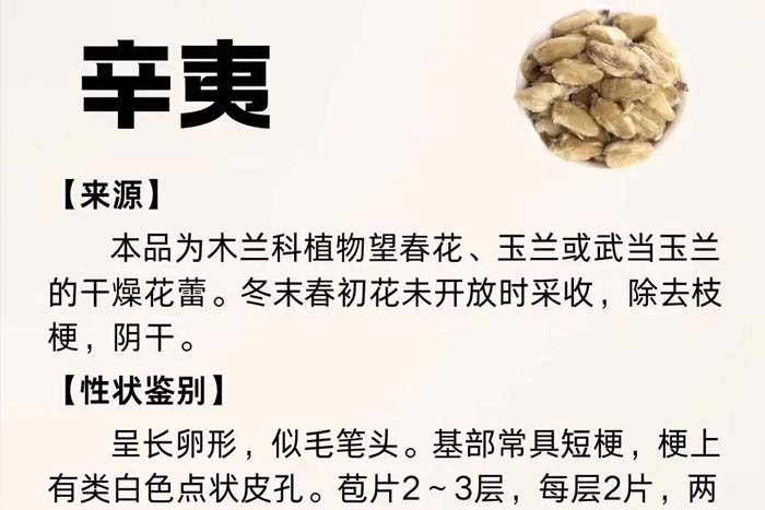 每周一药 | 解表药 | 辛夷