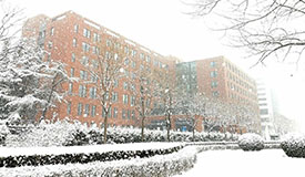 健康促进｜小寒至，冬渐深